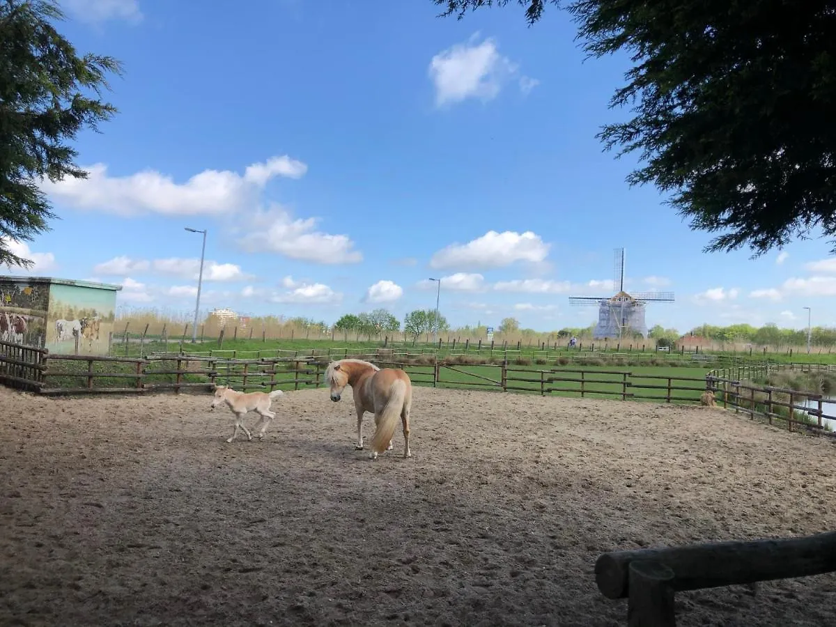 Chalet Aan De Rotte Rotterdam 0*,  Netherlands
